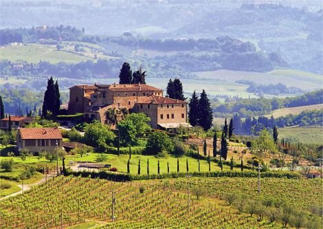 Private Pisa, Lucca & Vinci Day Trip from Florence — photo 2